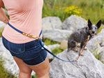 3/4" Convertible Hands Free Leash