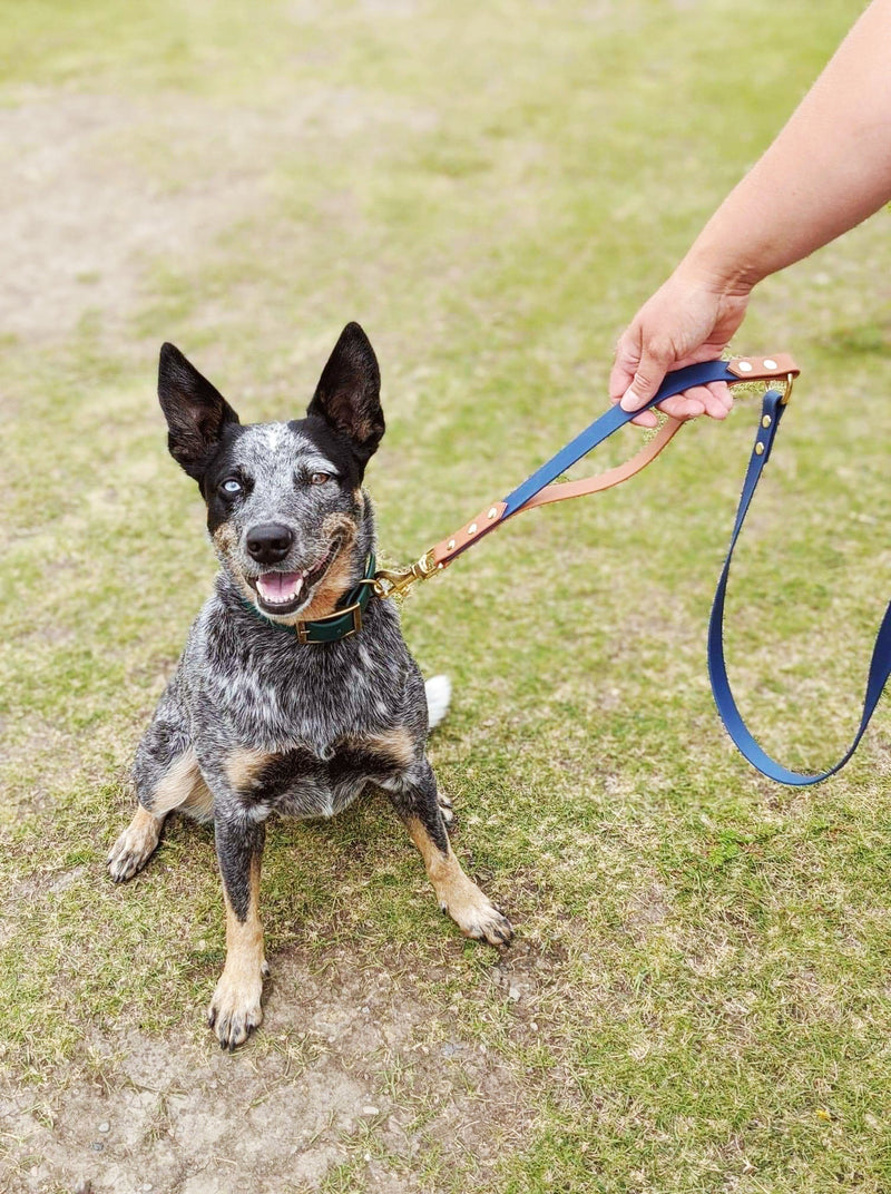 3/4" Convertible Hands Free Leash