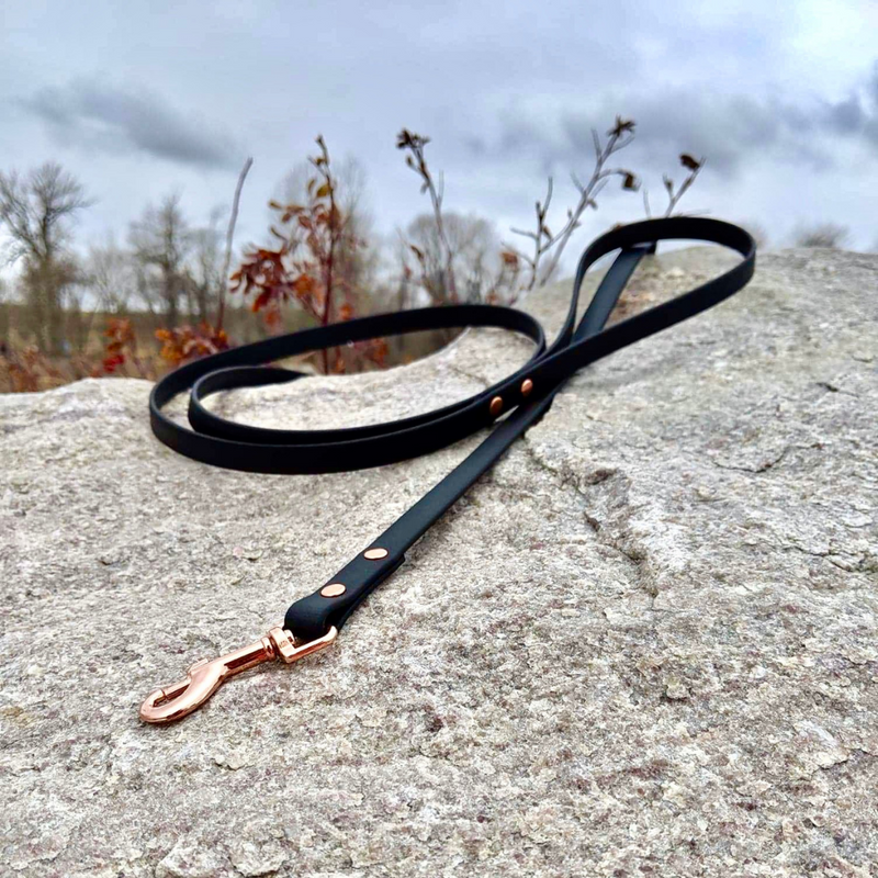 1/2" Classic Leash