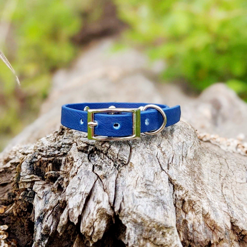 Studded sales cat collar