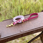 3/4" Two Tone Leash