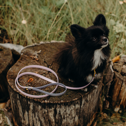 1/2" Two Tone Leash